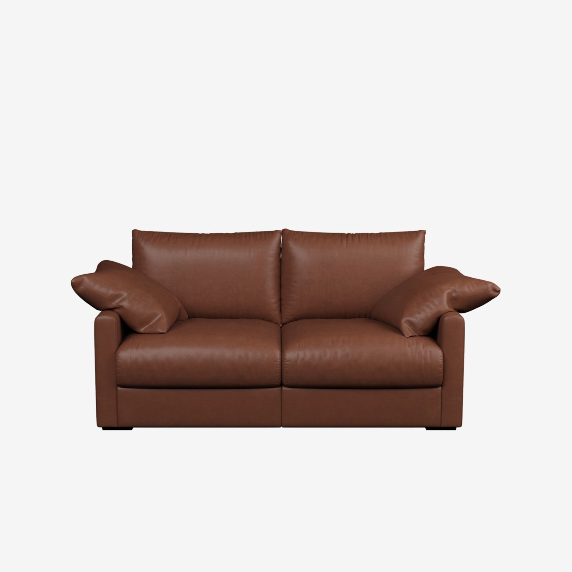 Melo 2 Seater Leather Sofa