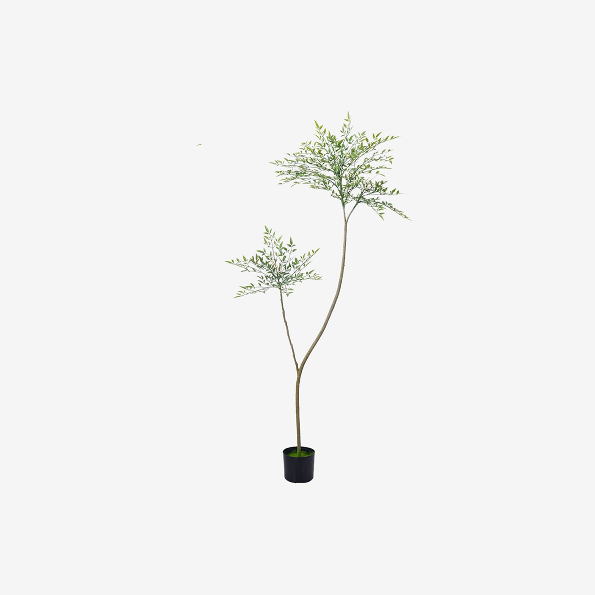 Heavenly Bamboo Airy Artificial Plant - 1.8m