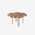 Root Coffee Table Slab Large