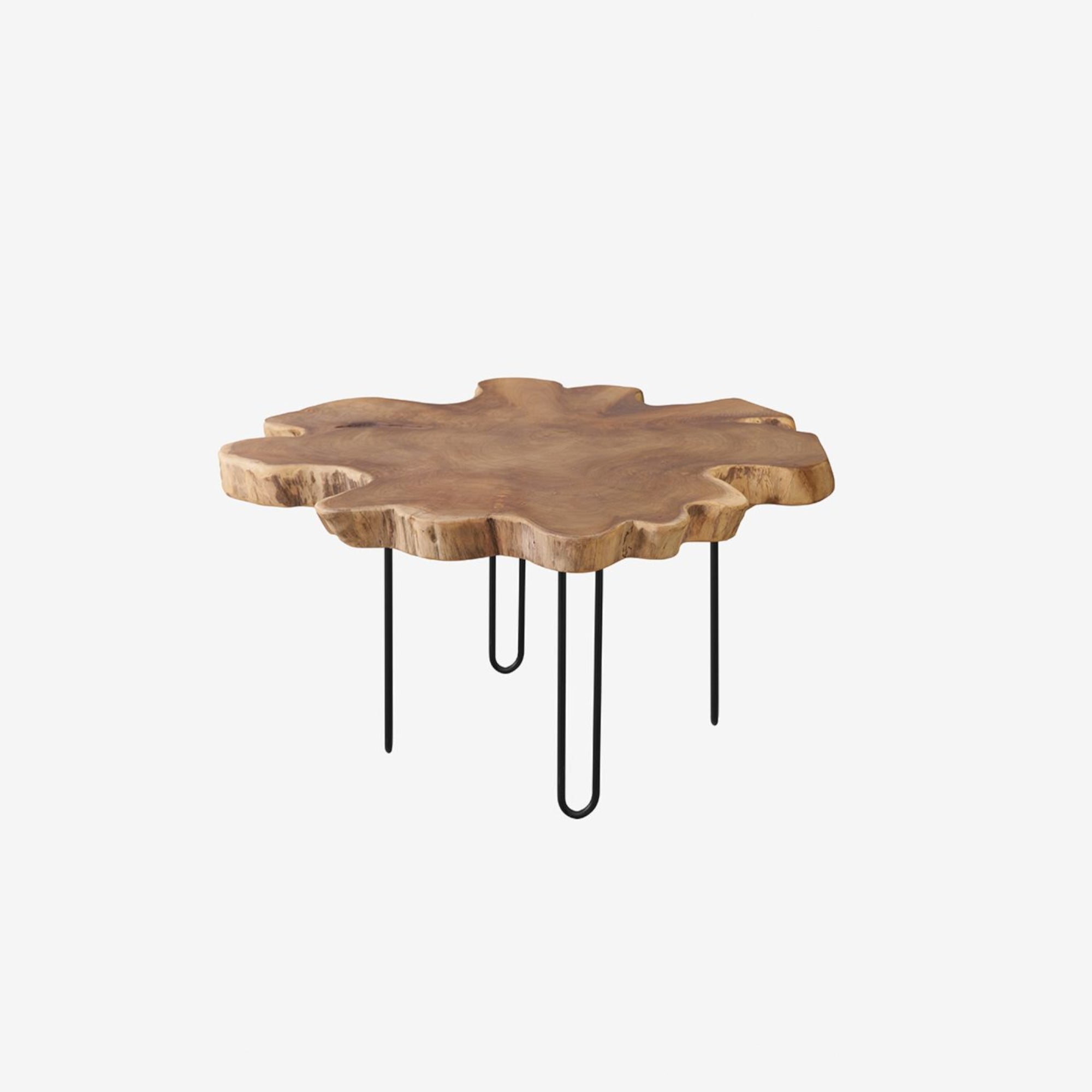 Root Coffee Table Slab Large