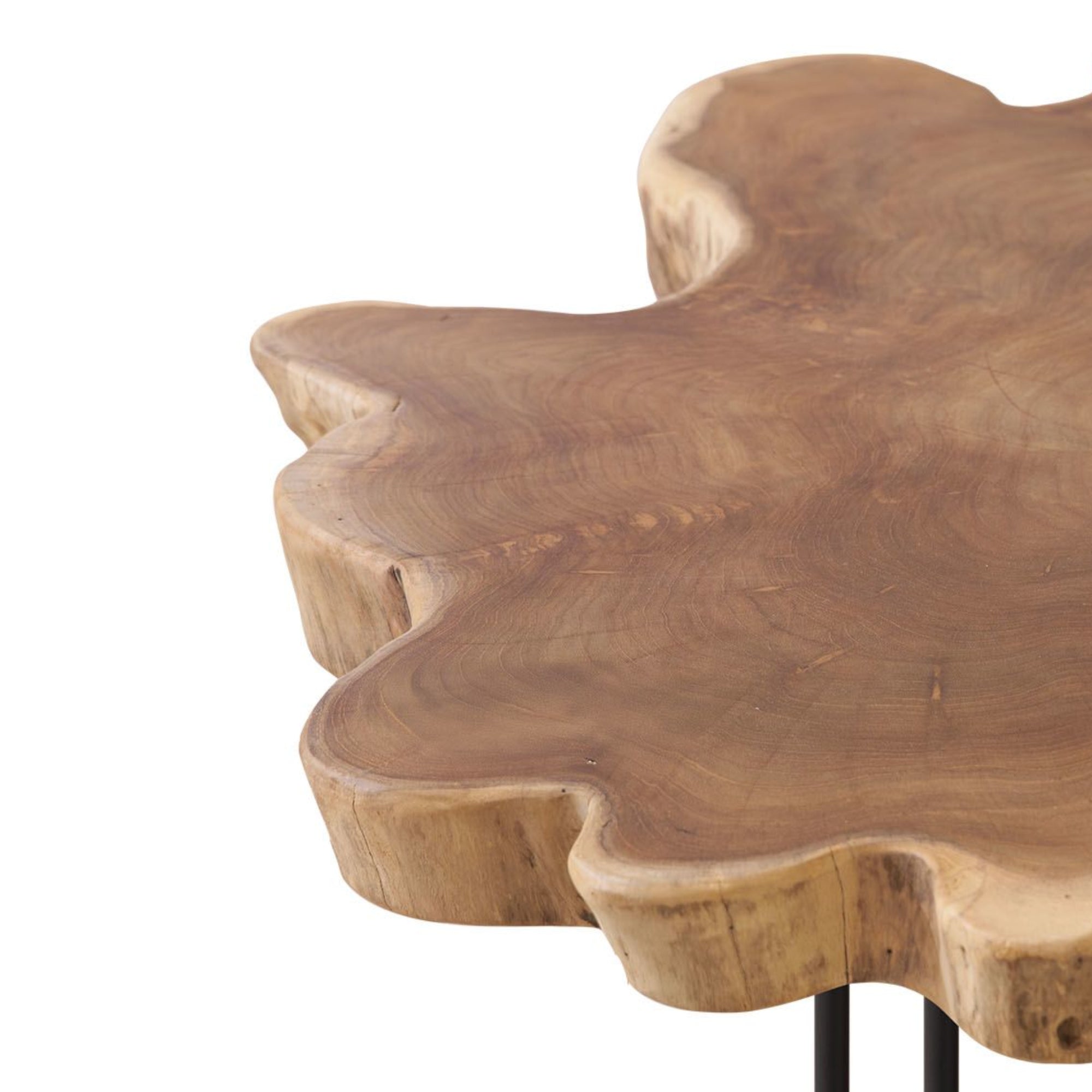 Root Coffee Table Slab Large Detail Photo