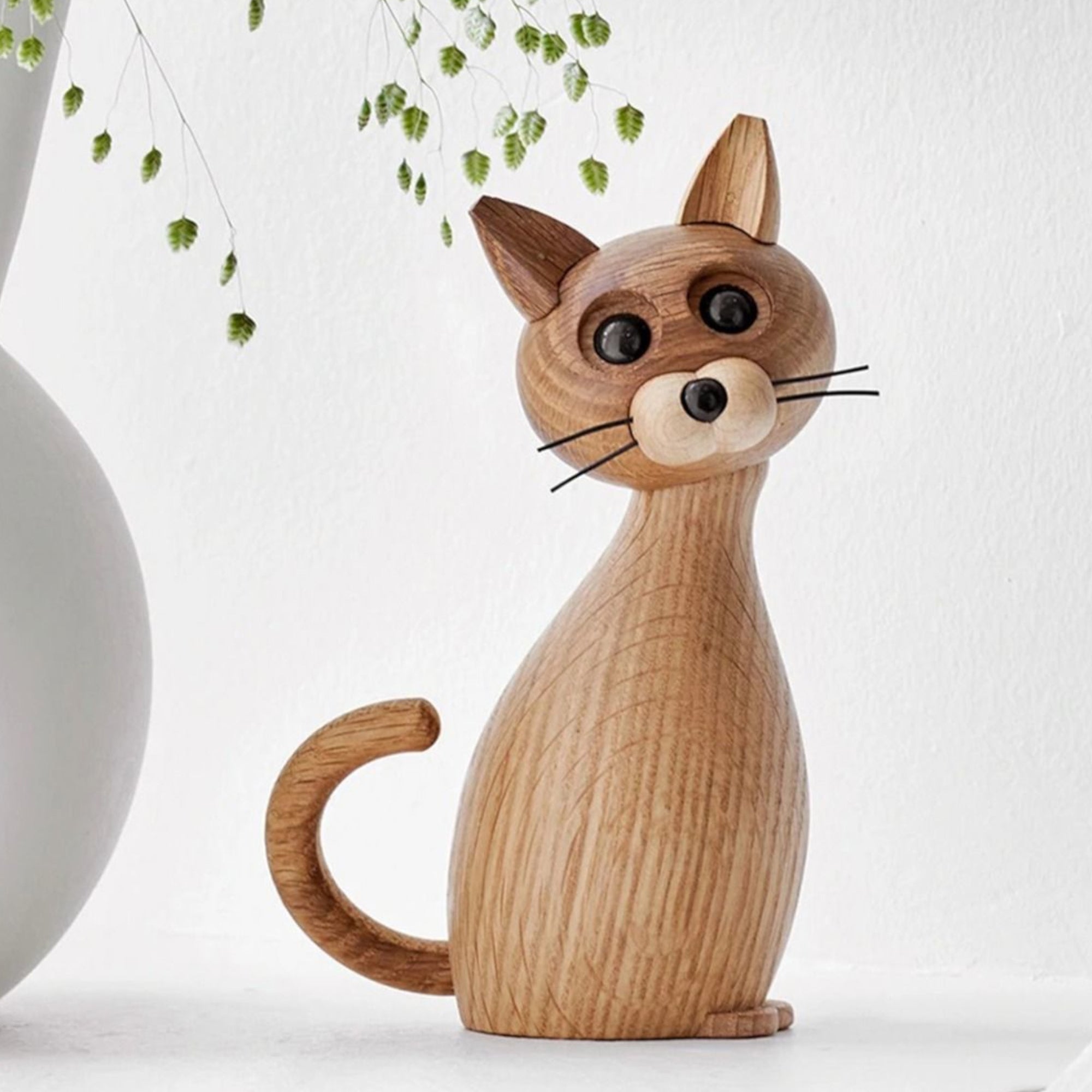 Lucky - Cat Lifestyle Photo