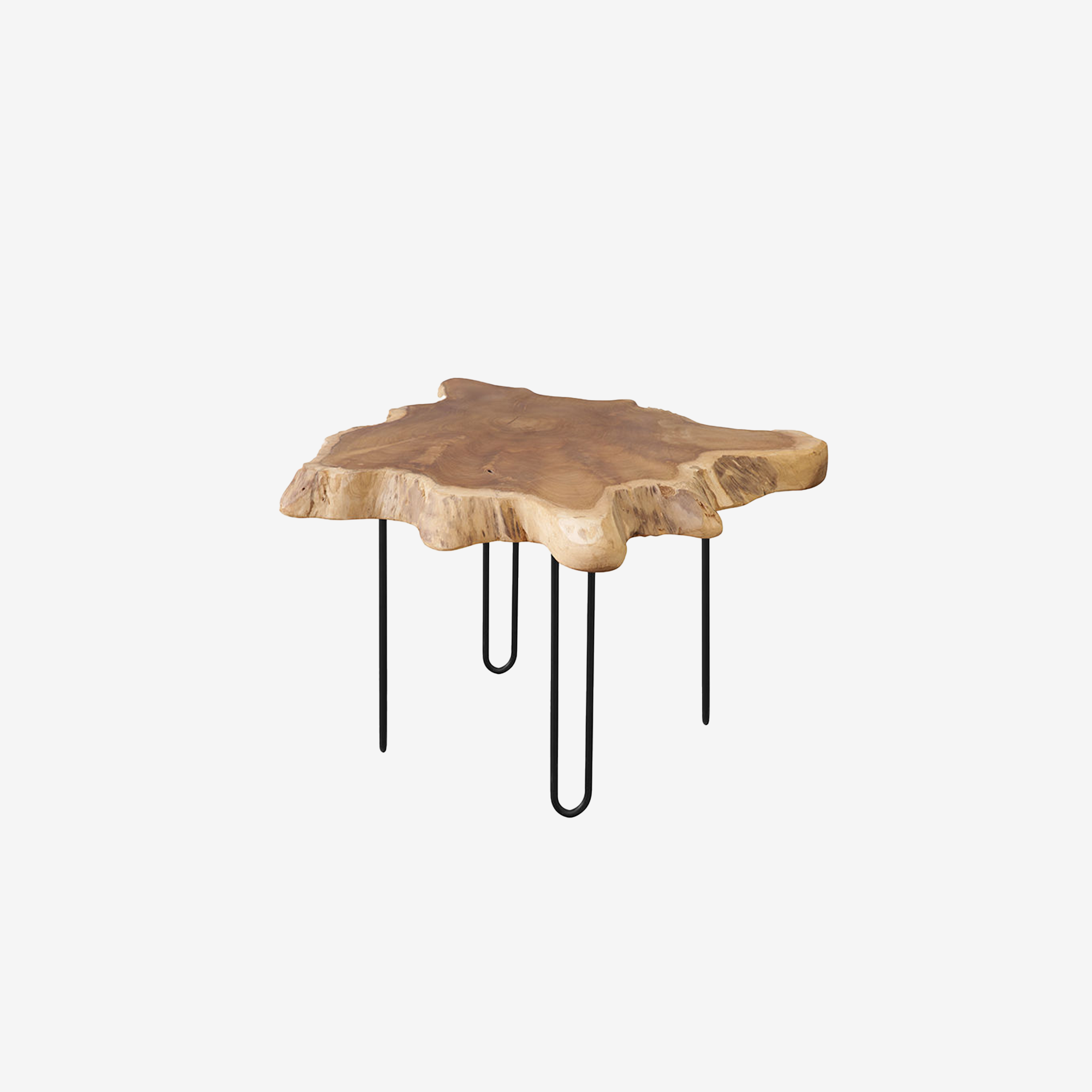 Root Coffee Table Slab Medium