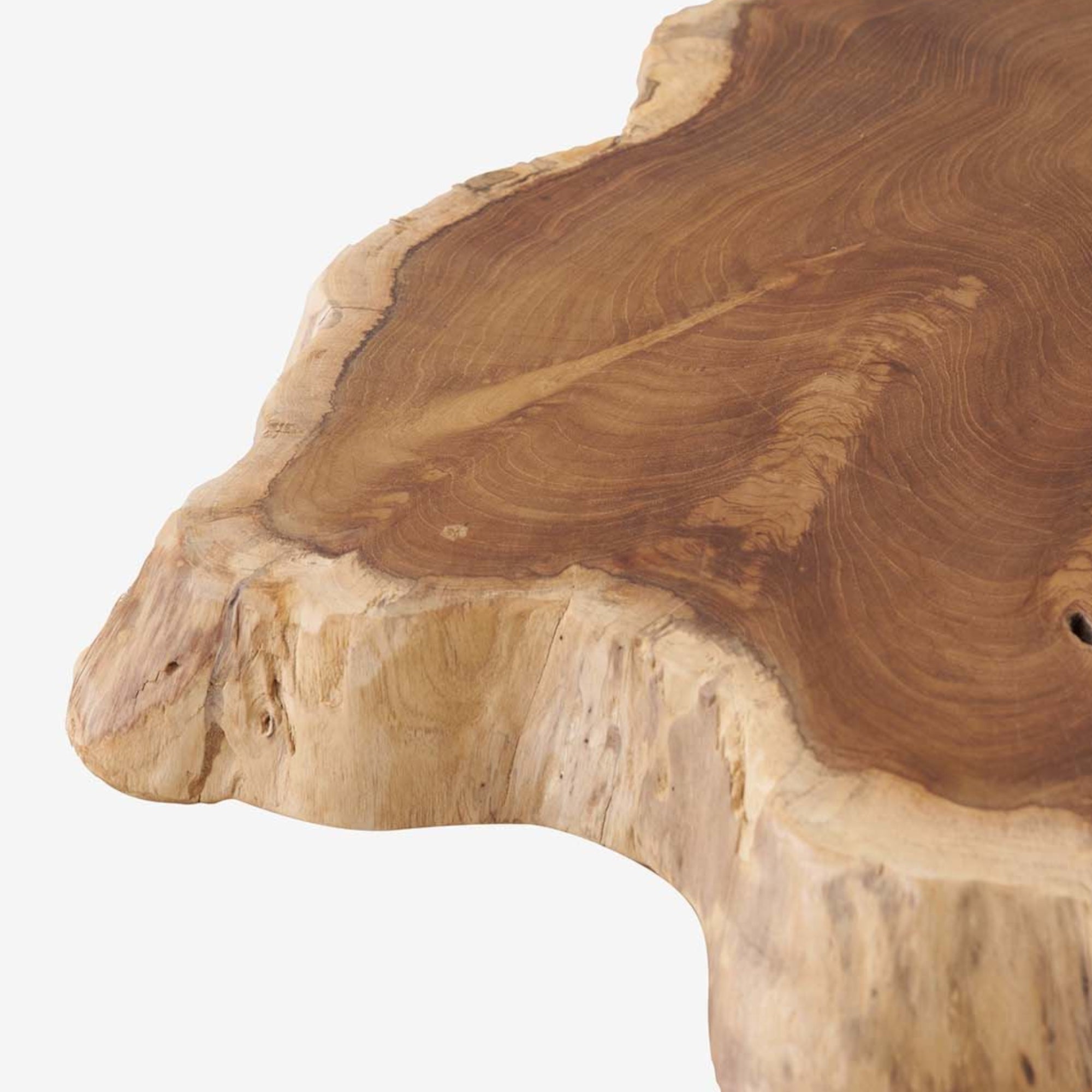 Root Coffee Table Slab Medium Detail Photo