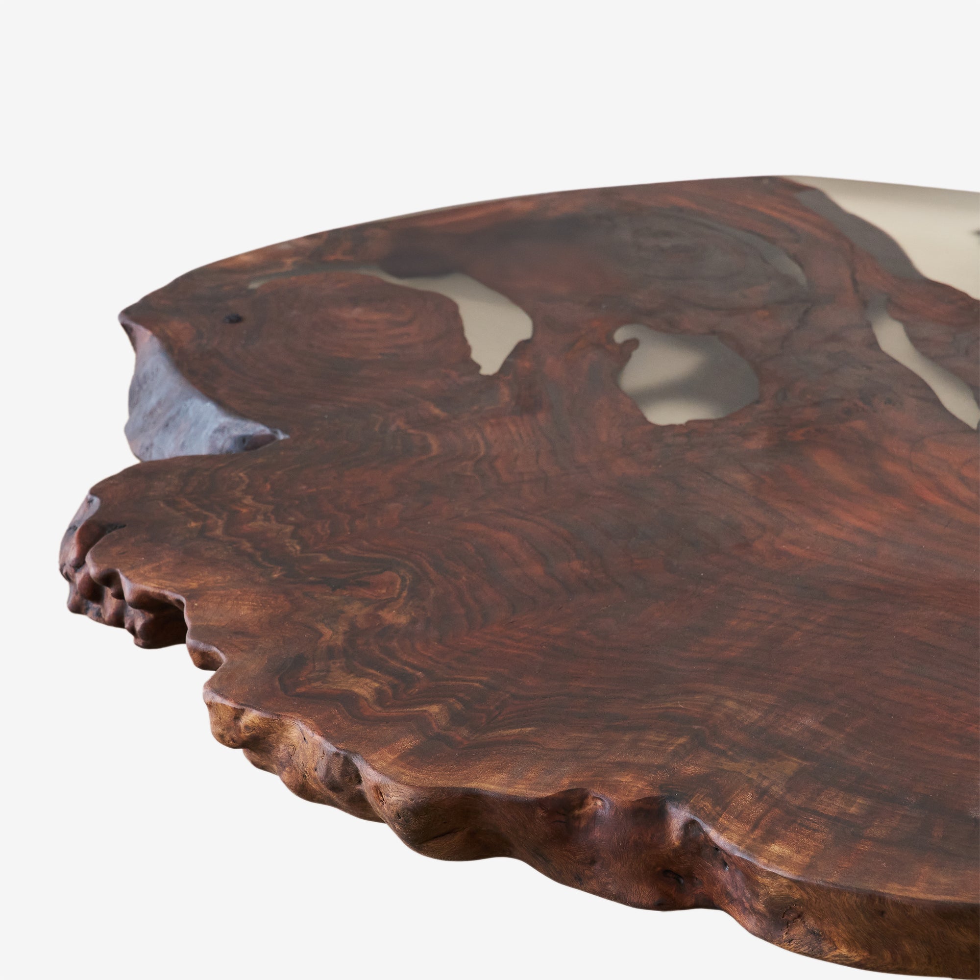 American Black Walnut Burl Coffee Table