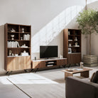 Hudson TV Console Lifestyle Photo