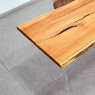 Japanese Beech
