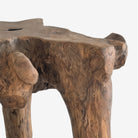 Root Side Table Natural Detail