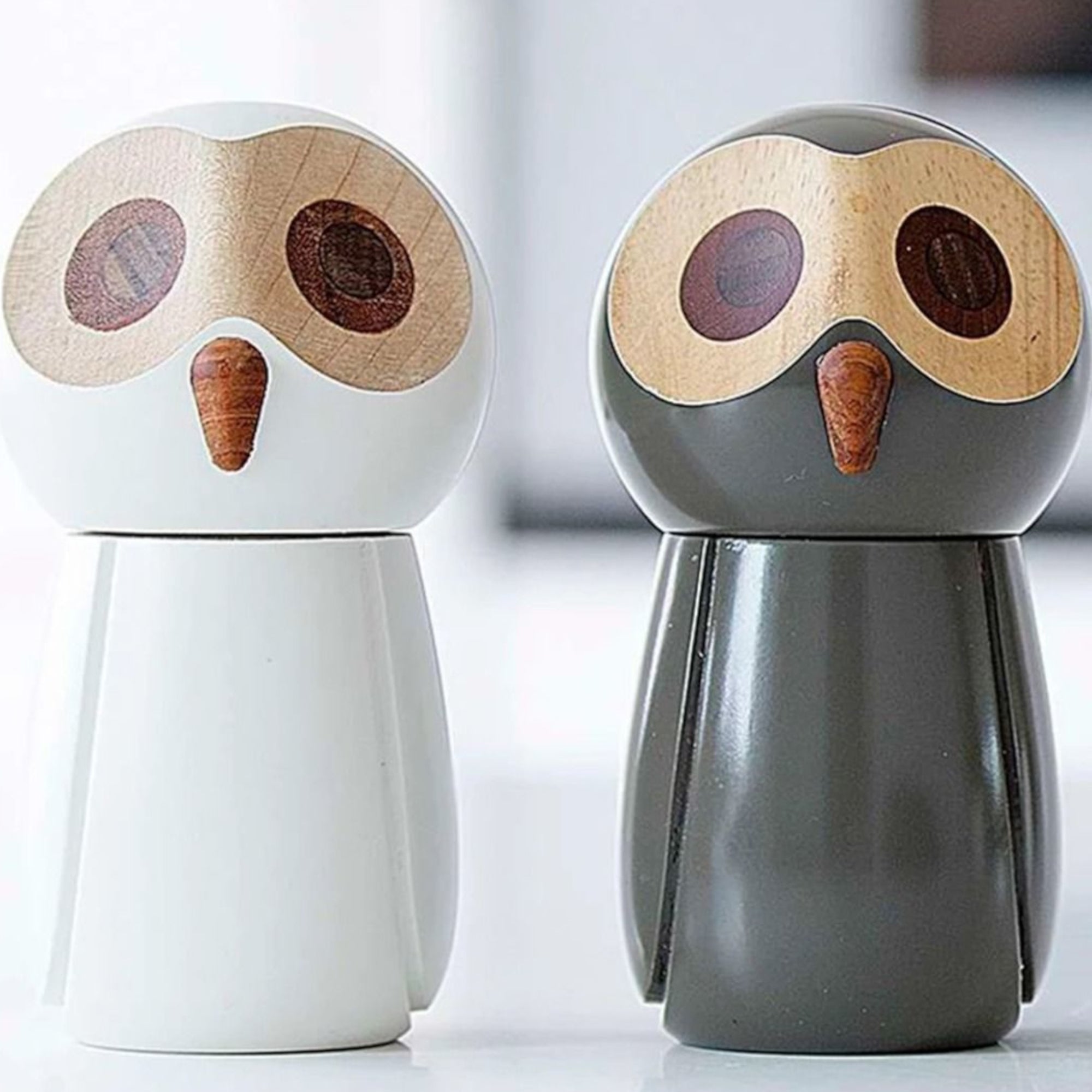 The Snowy Owl - Salt Grinder Lifestyle Photo