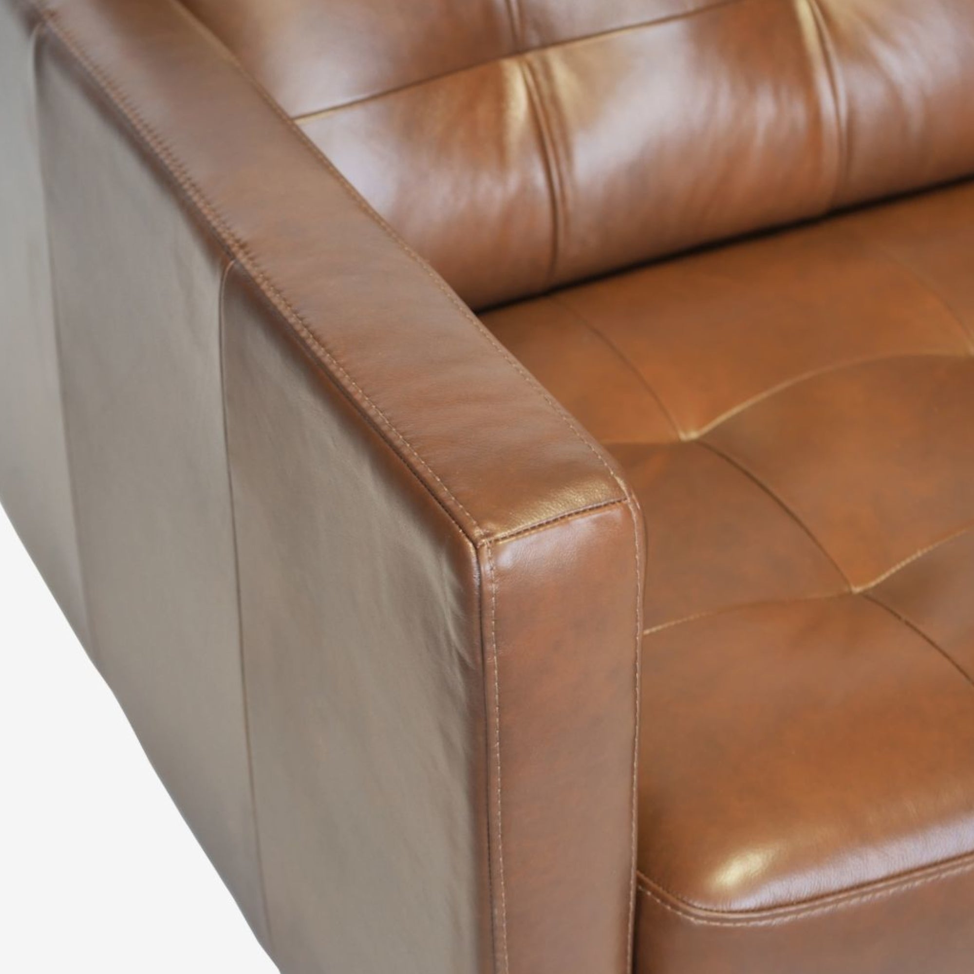 Arya Leather Armchair Detail Photo