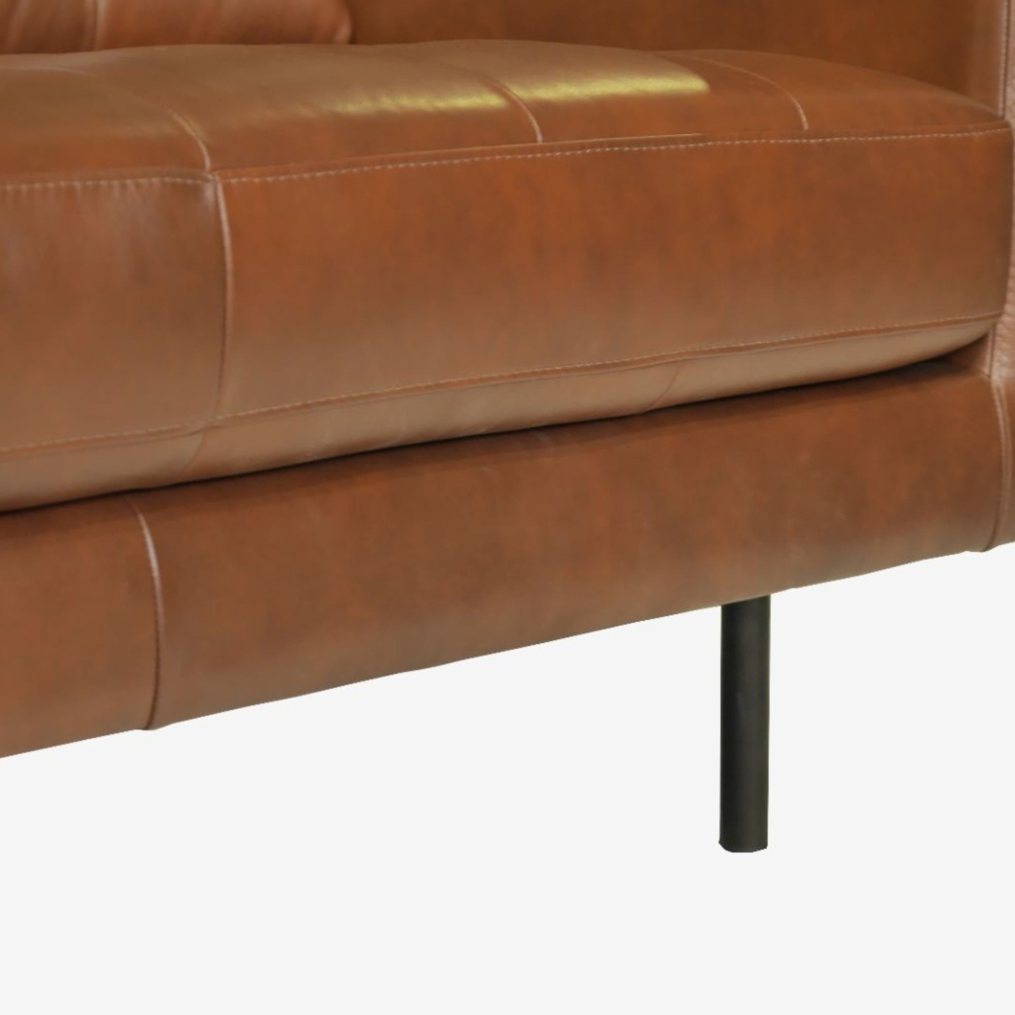 Arya Leather Armchair Detail Photo
