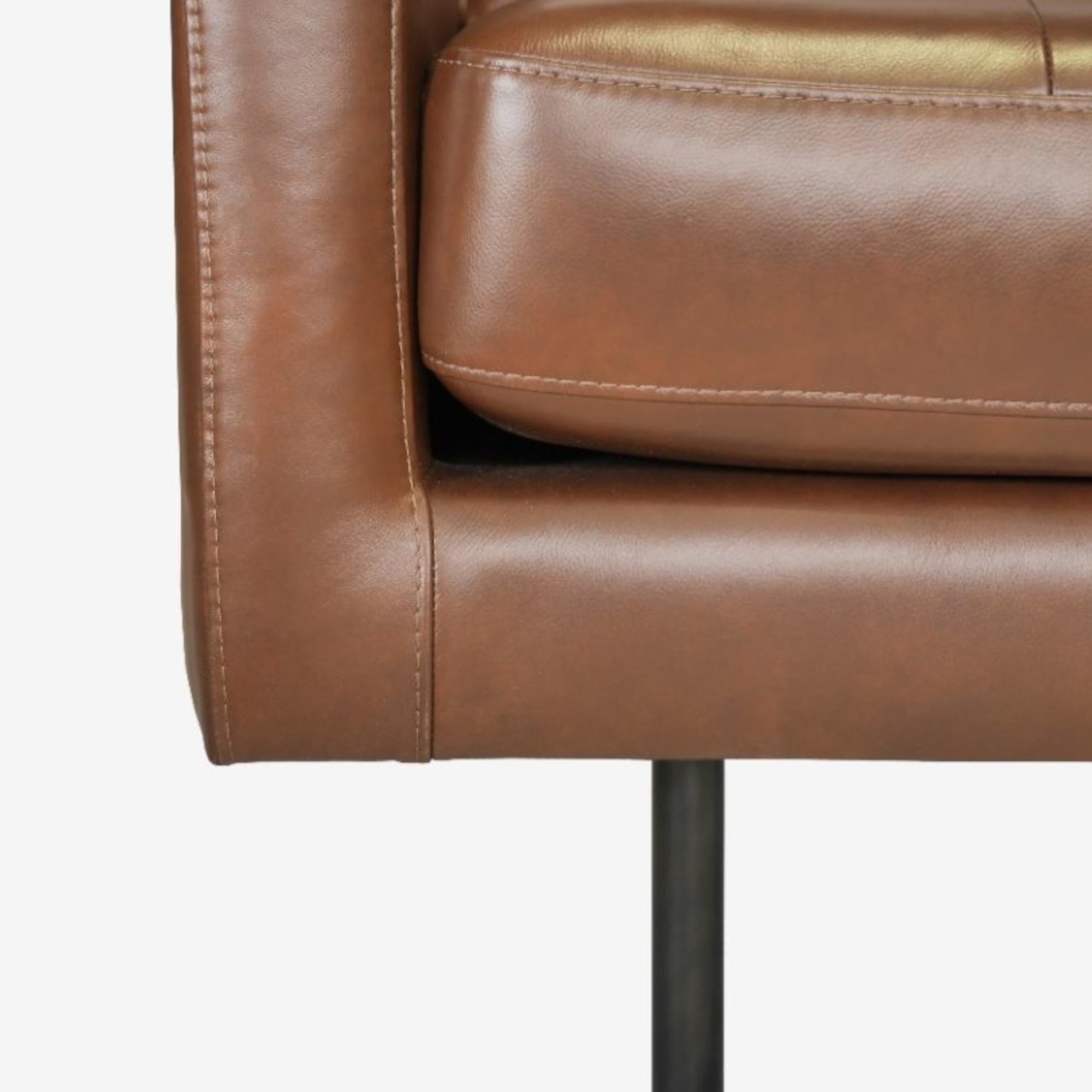 Arya Leather Armchair Detail Photo
