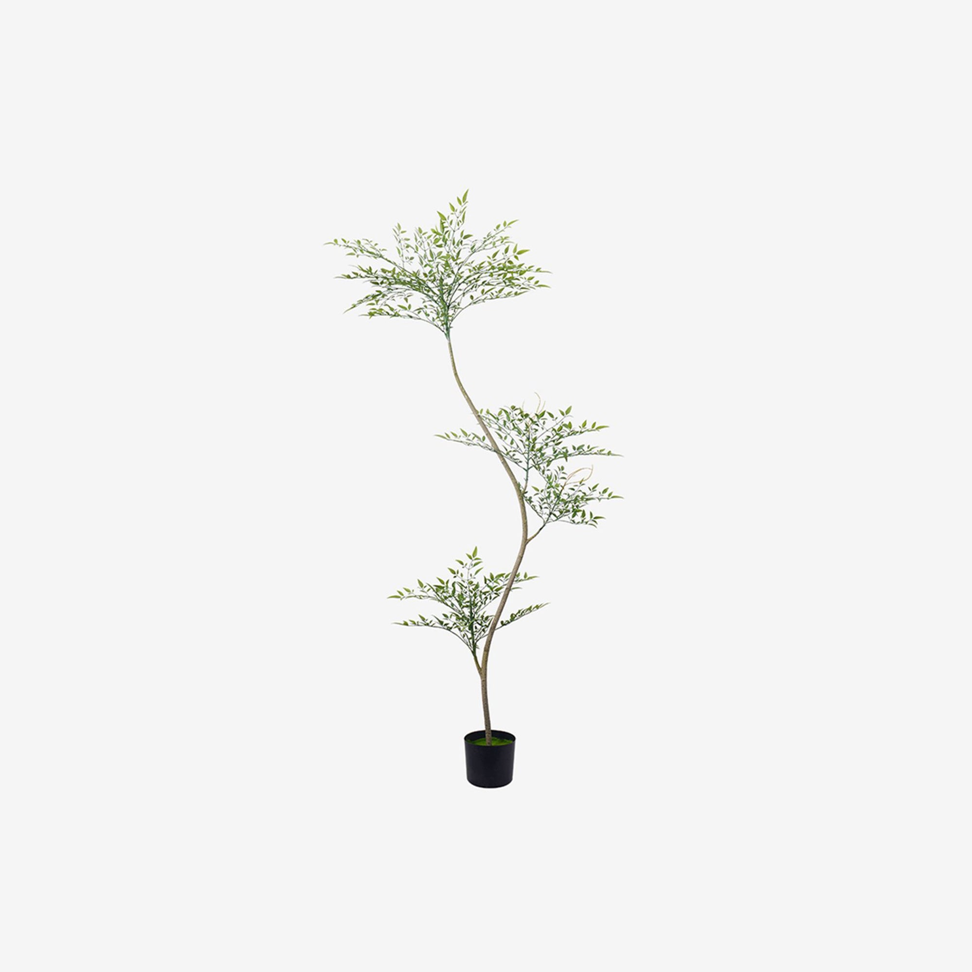 Heavenly Bamboo Artificial Plant - 1.8m