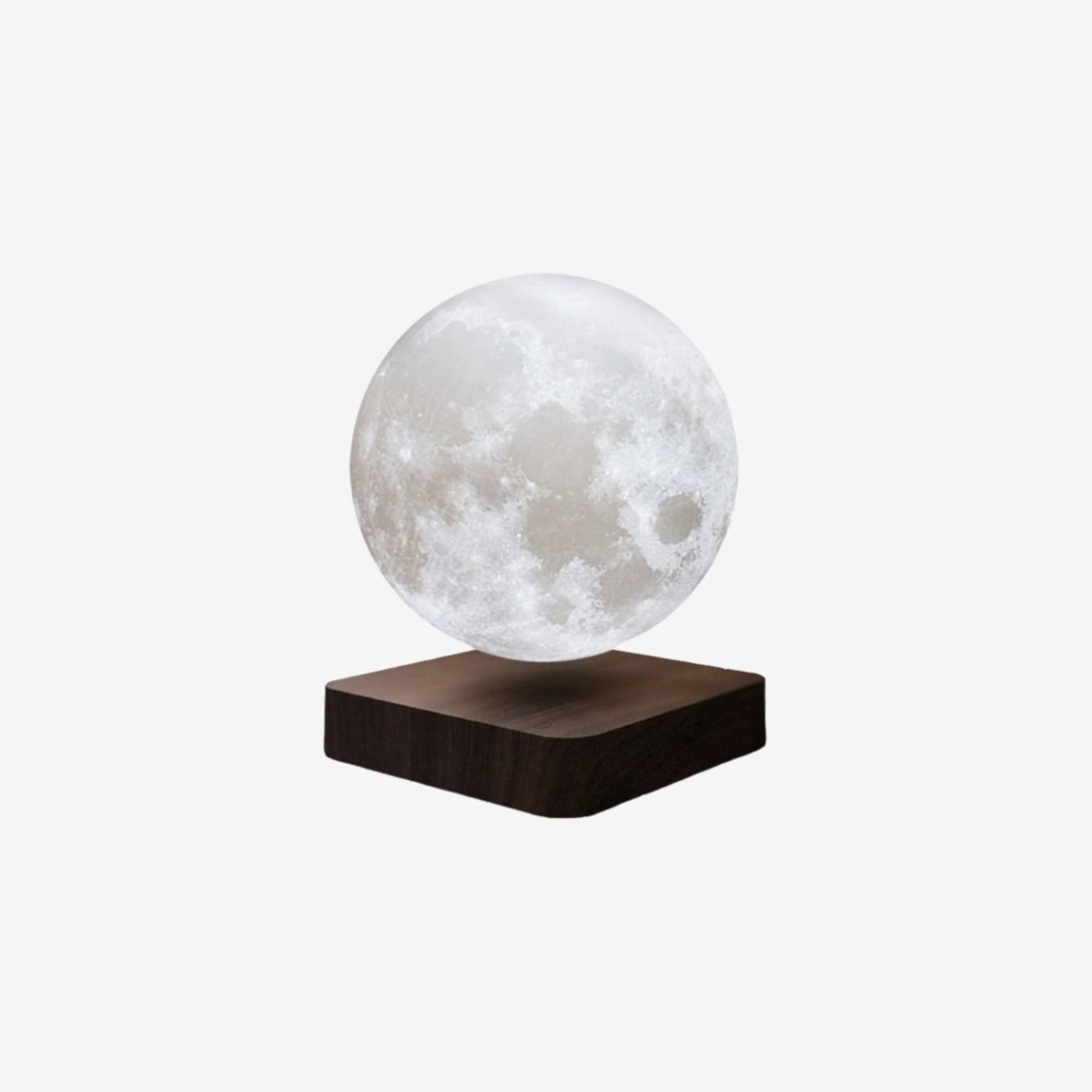Moon Table Lamp