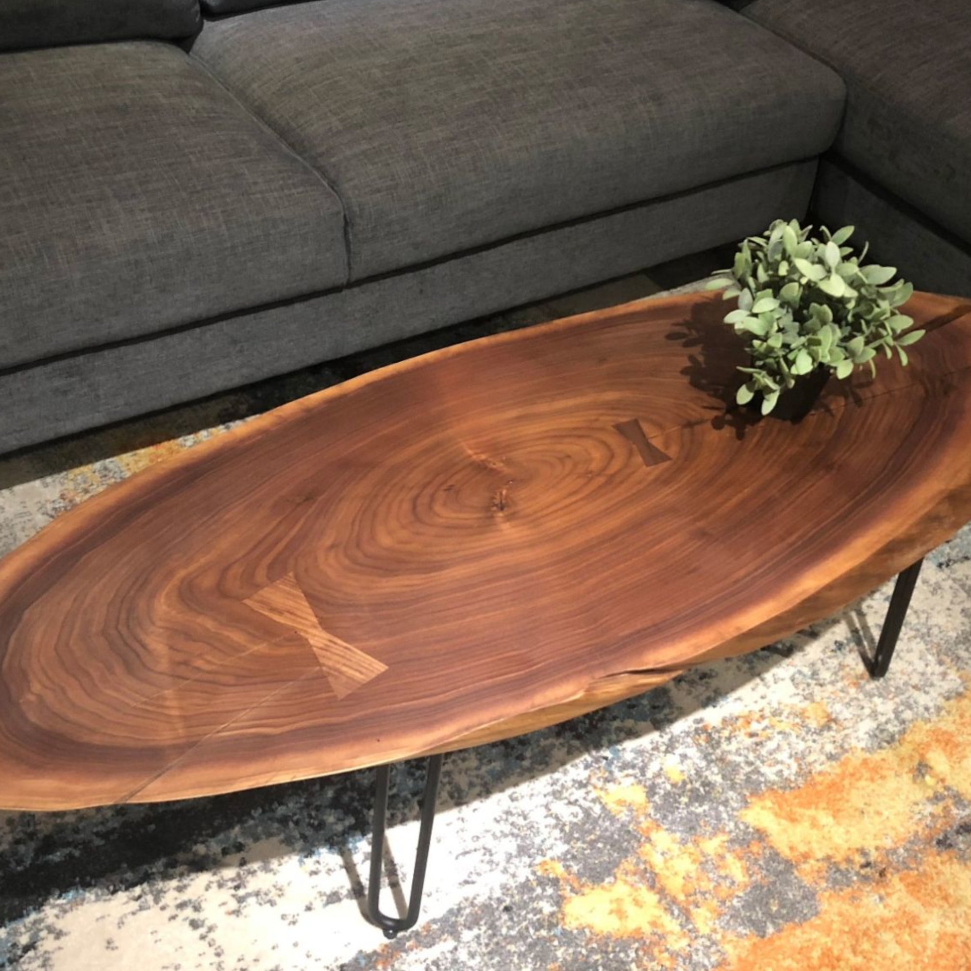 Oval American Black Walnut Coffee Table Lifestyle Photo