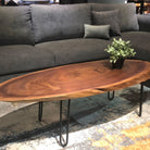 Oval American Black Walnut Coffee Table Lifestyle Photo