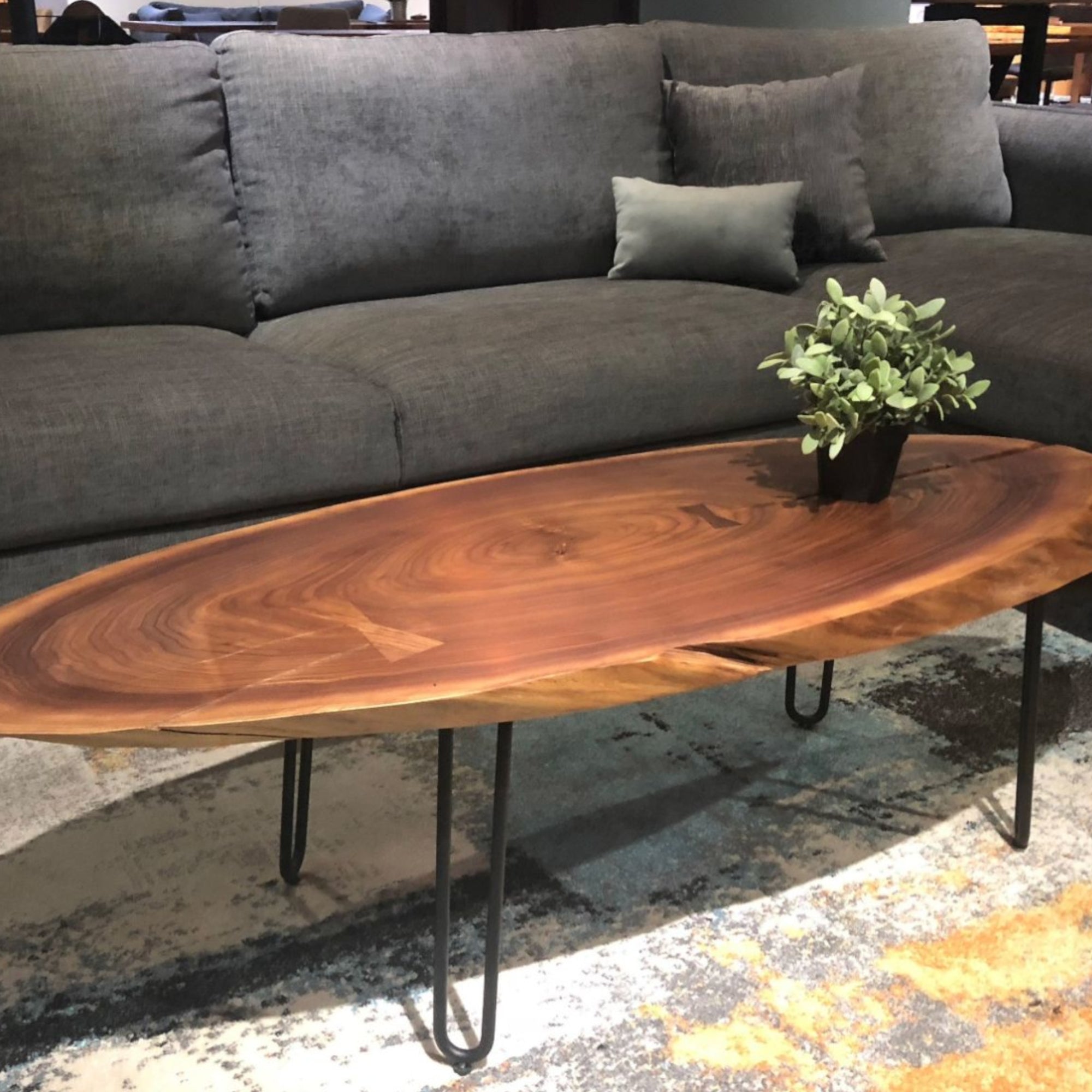 Oval American Black Walnut Coffee Table Lifestyle Photo