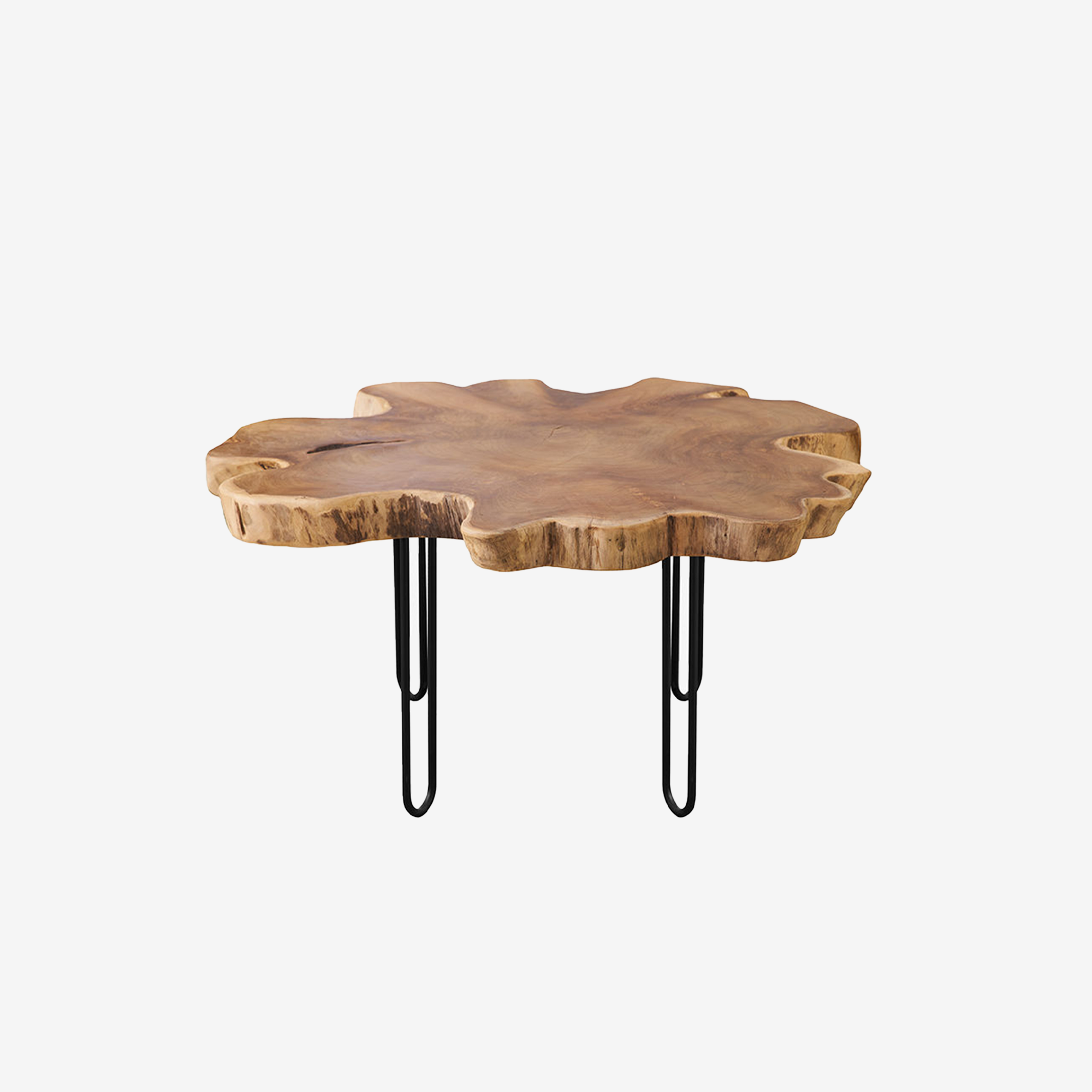 Root Coffee Table Slab Large