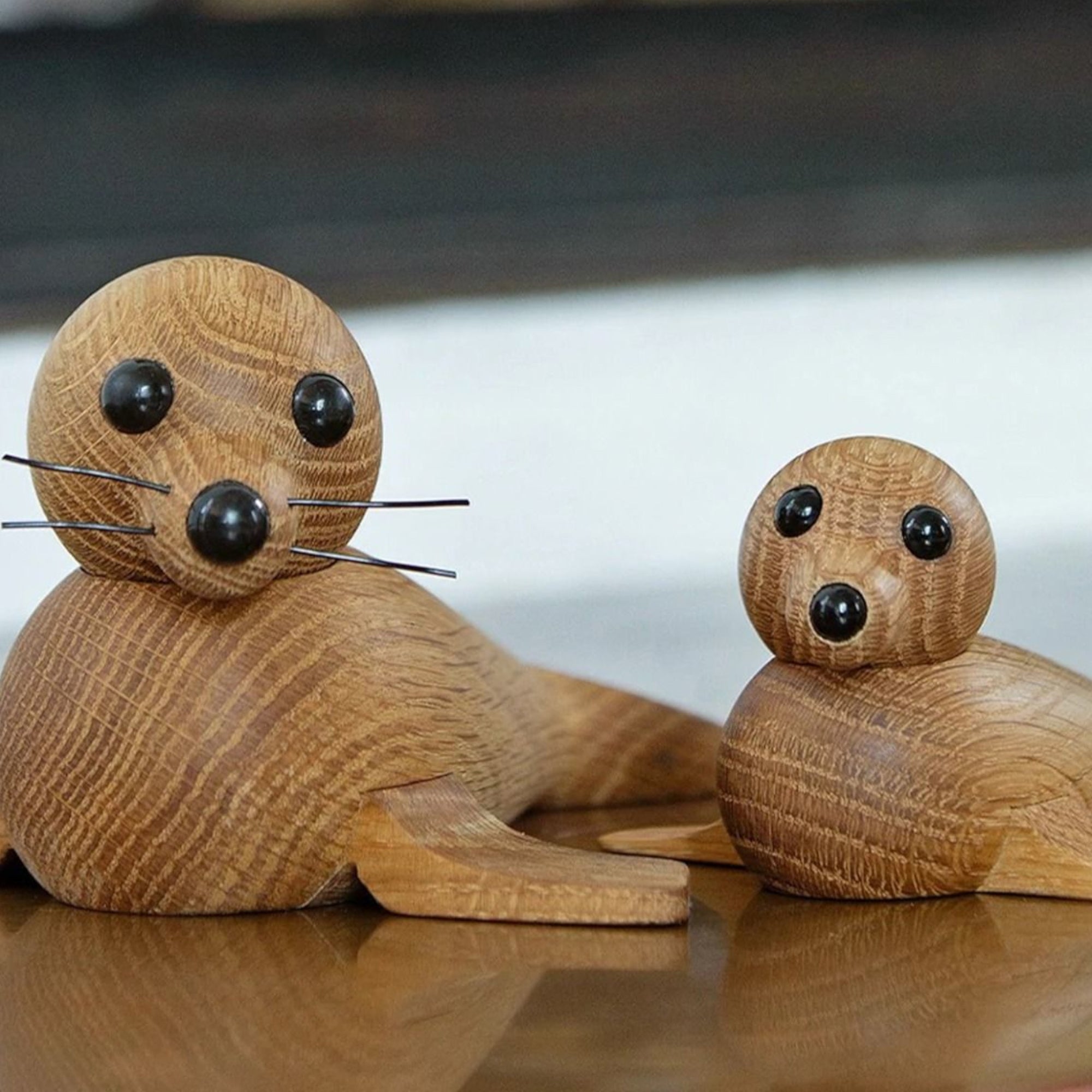 Baby Seal Lifestyle Photo