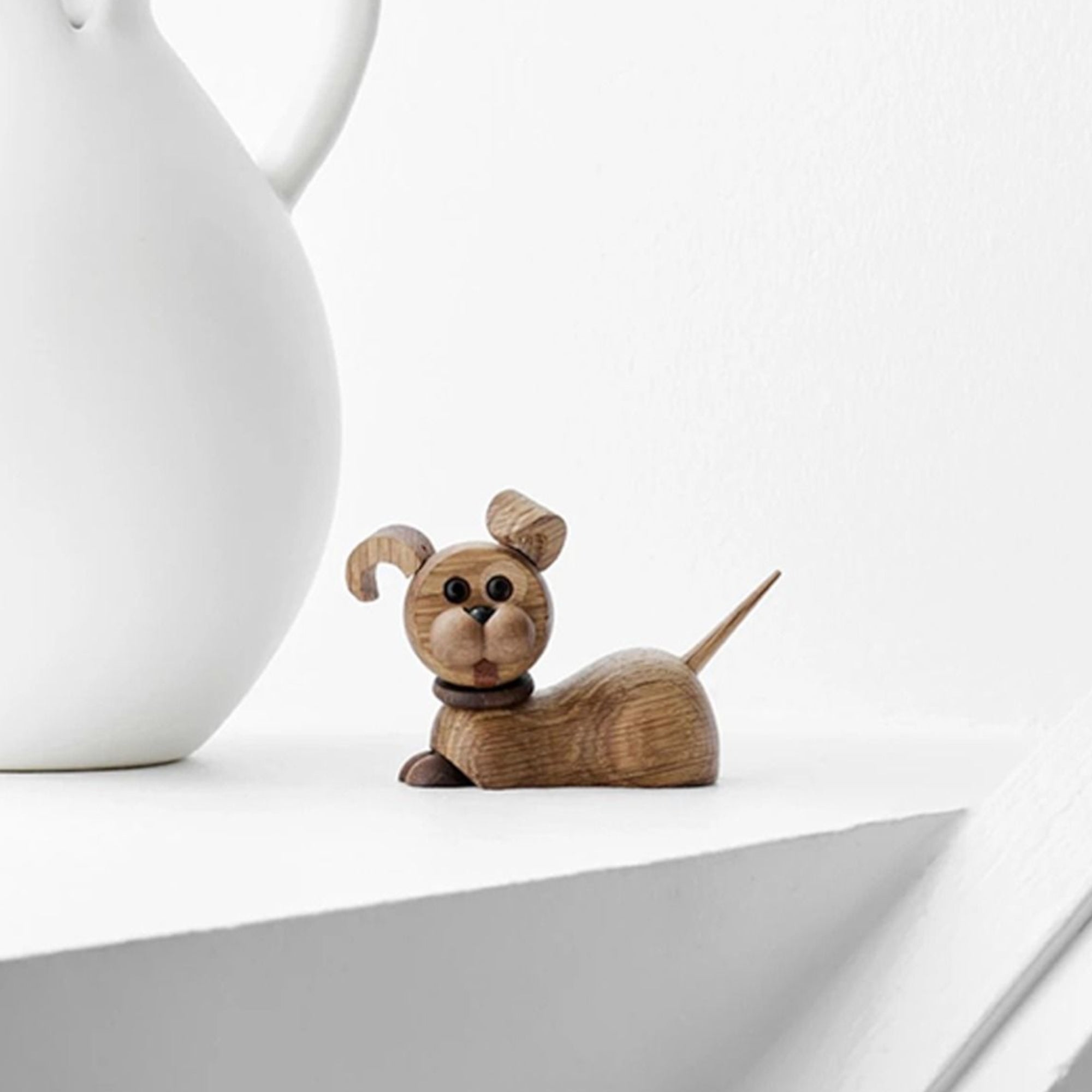 Coco - Puppy Lifestyle Photo