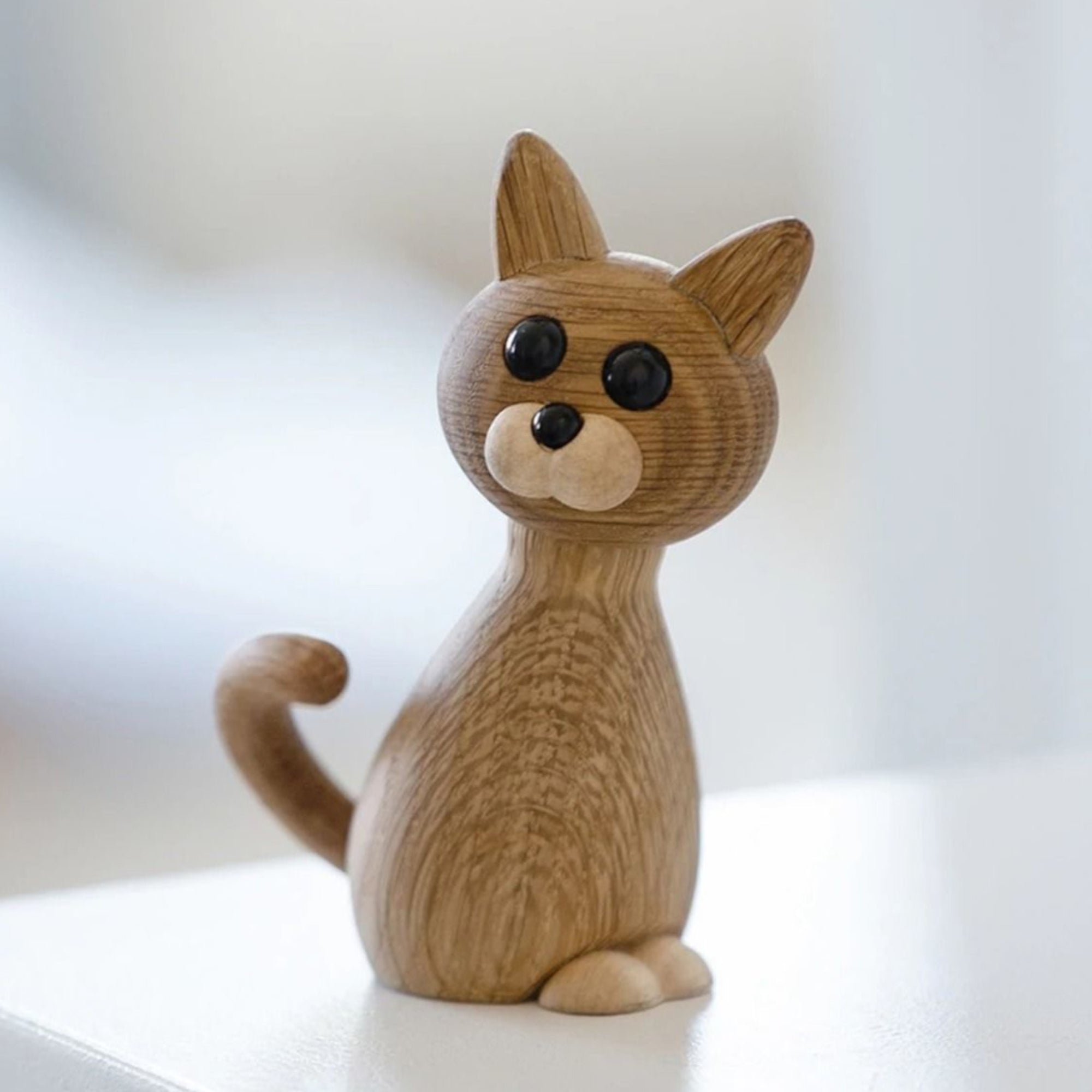 Faith - Kitten Lifestyle Photo