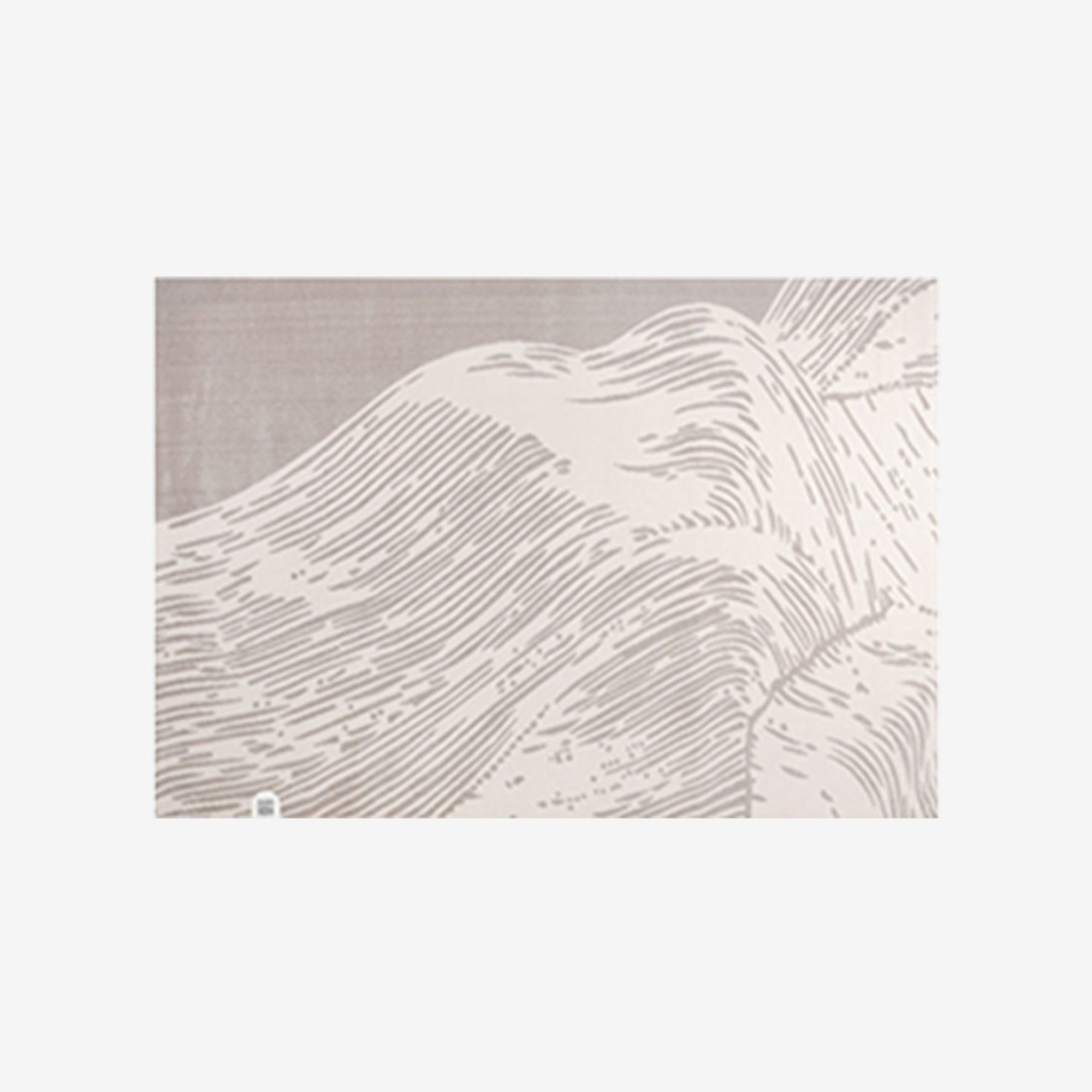 Graphic High Pile Rug