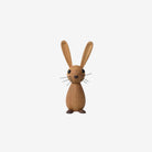 Jumper - Rabbit
