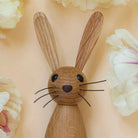 Jumper - Rabbit Lifestyle Photo