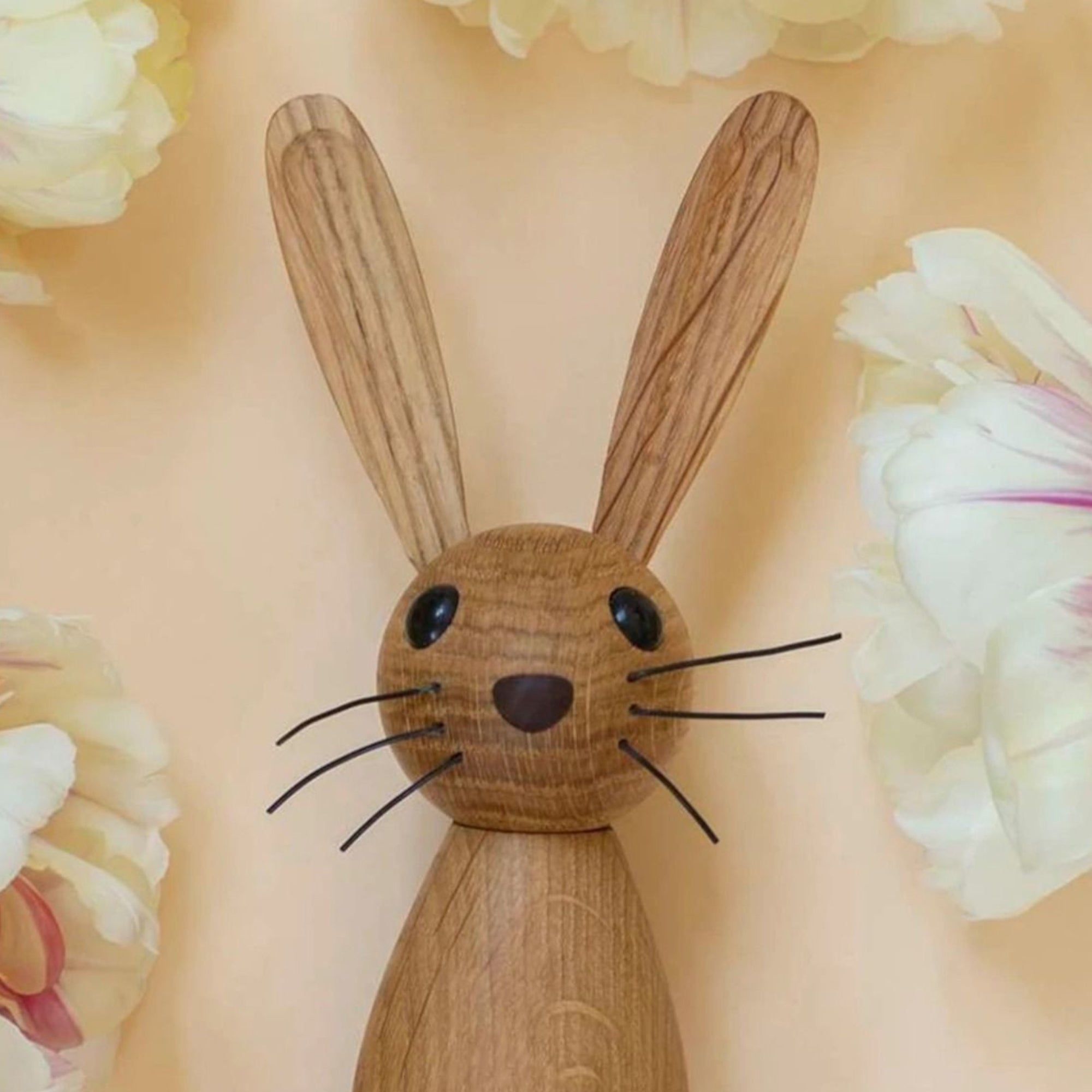 Jumper - Rabbit Lifestyle Photo