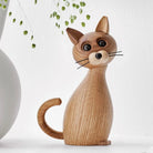 Lucky - Cat Lifestyle Photo