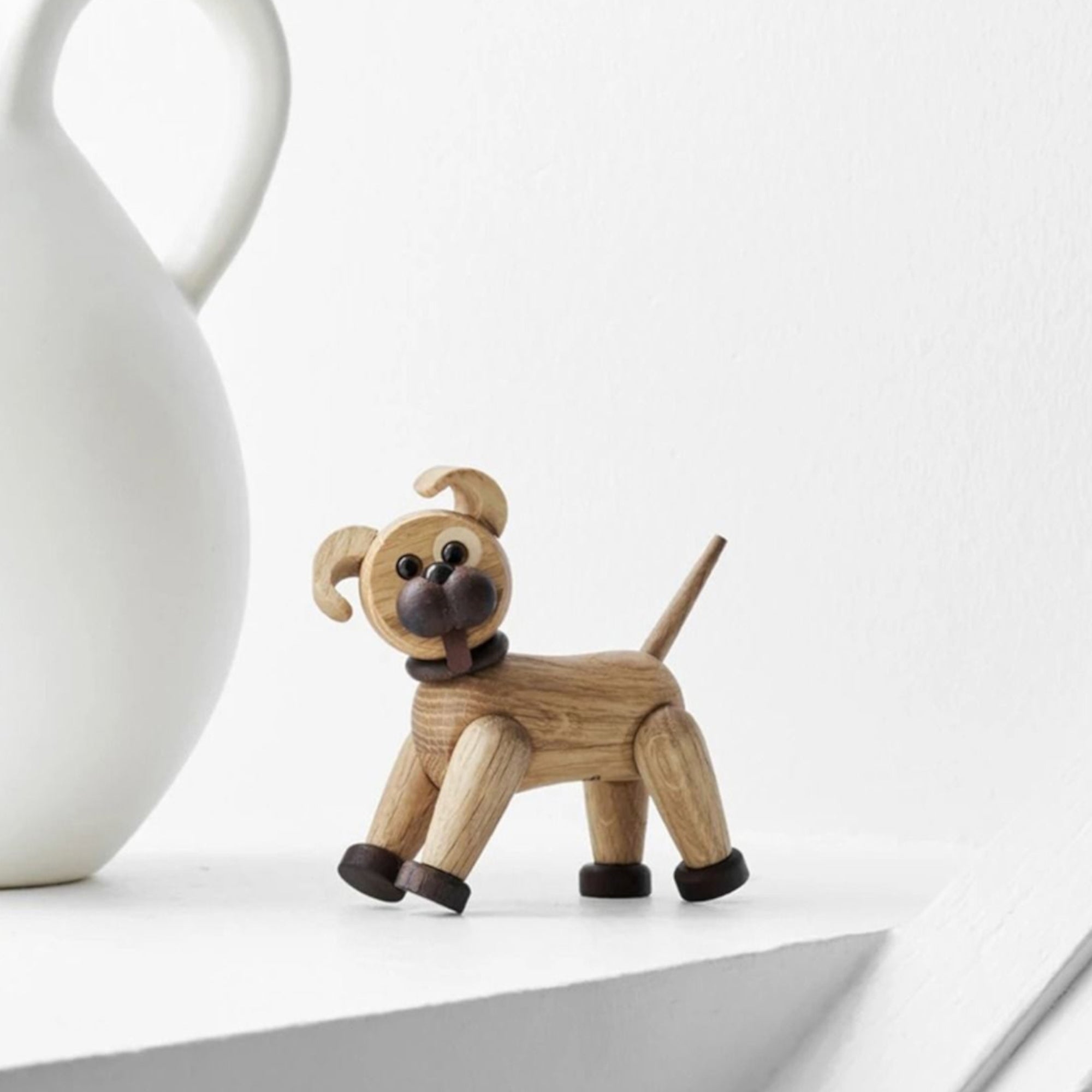 Woody - Puppy Lifestyle Photo